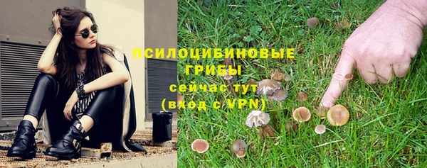 крисы Алексин