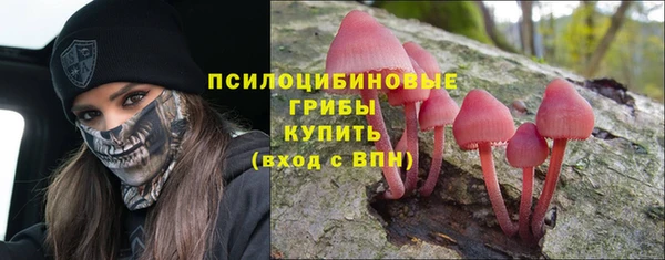 крисы Алексин