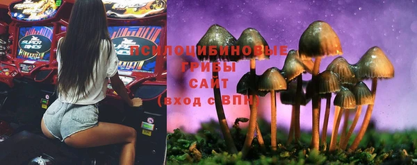 марки lsd Алексеевка