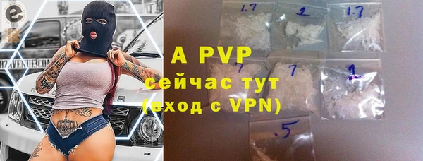 крисы Алексин