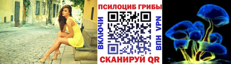 мега зеркало  Губкин  Псилоцибиновые грибы прущие грибы  как найти  