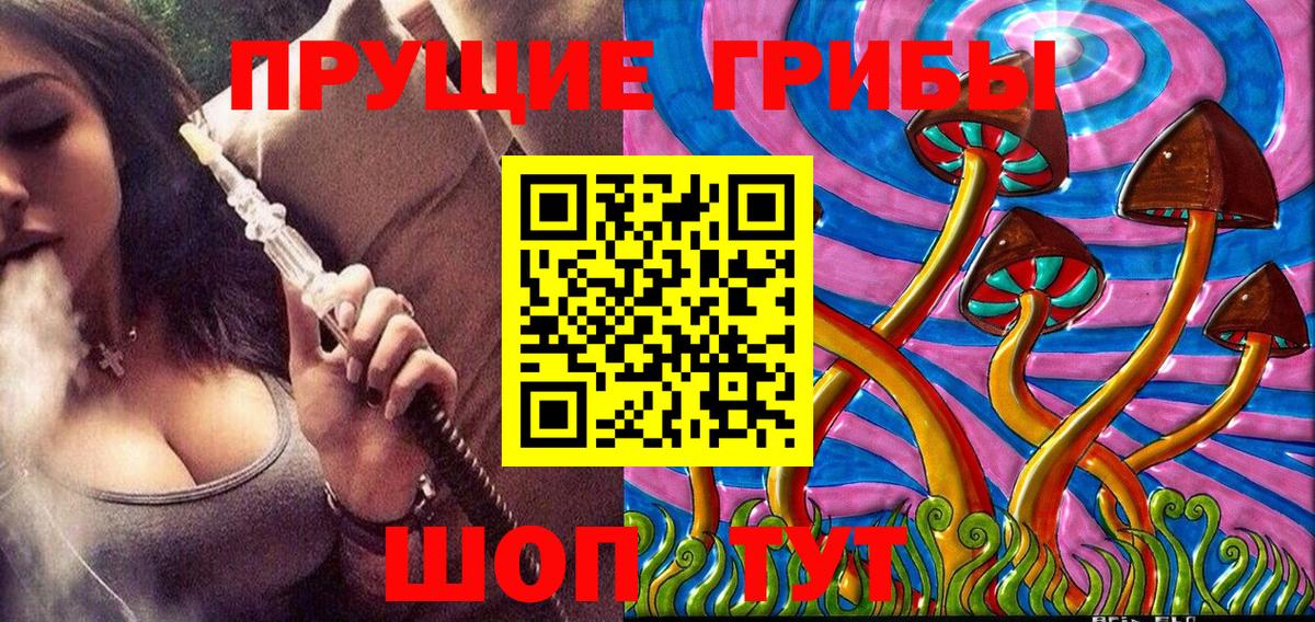 Псилоцибиновые грибы Magic Shrooms  наркота  Губкин  Вход с VPN 