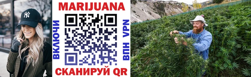 Бошки Шишки SATIVA & INDICA  нарко площадка официальный сайт  Губкин  купить  