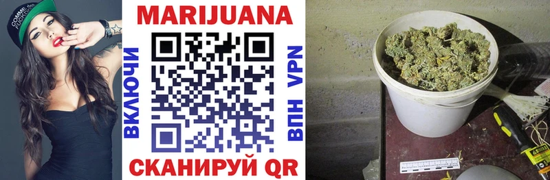 Каннабис гибрид Губкин